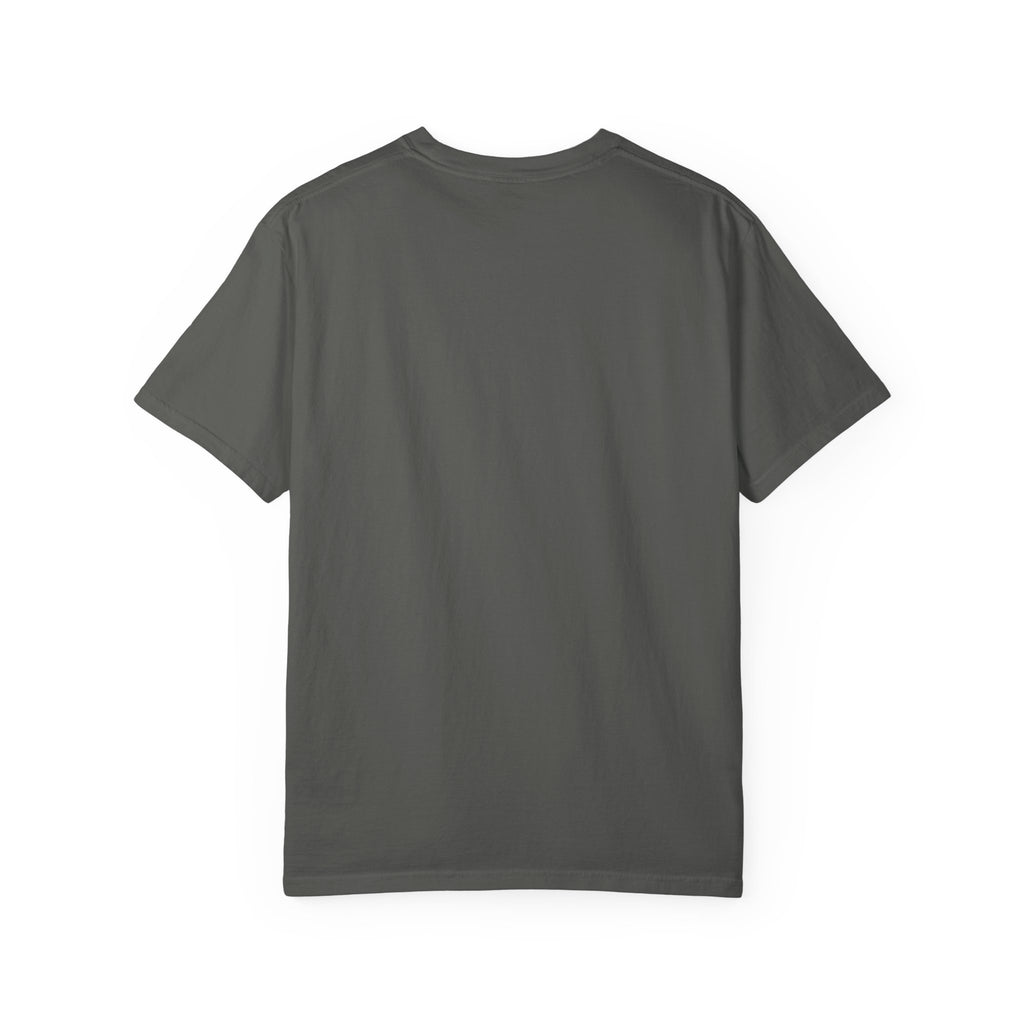 AIDA Shirt, All I Do Is Analyze Tee, Insurance Data Analytics Shirt, Insurance Analyst Apparel, AIDA Designation Gift