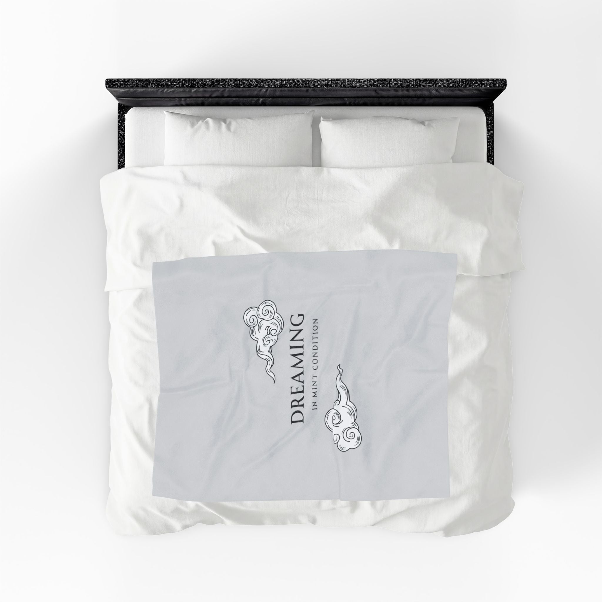 "dreaming in mint condition" velveteen plush blanket