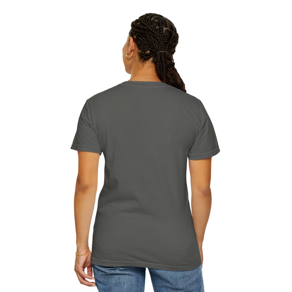 AIDA Shirt, All I Do Is Analyze Tee, Insurance Data Analytics Shirt, Insurance Analyst Apparel, AIDA Designation Gift