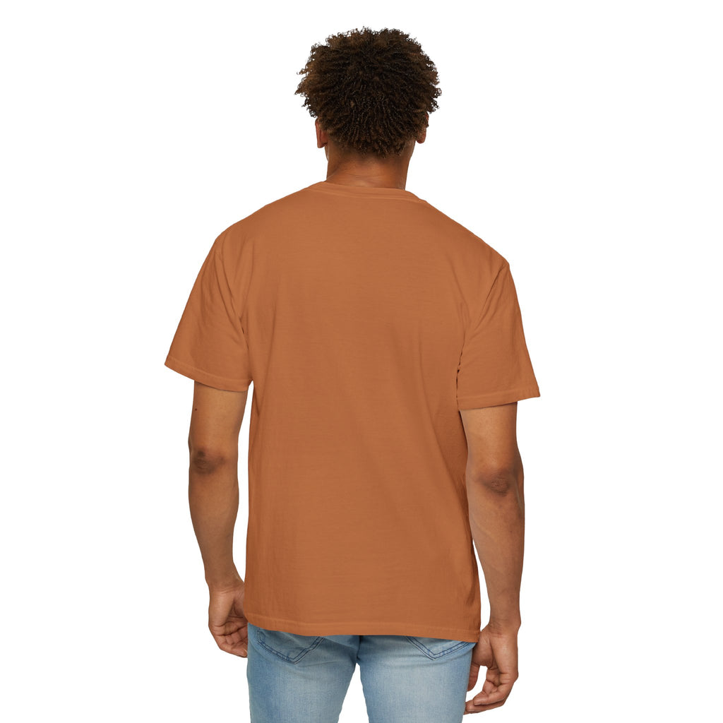 AIDA Shirt, All I Do Is Analyze Tee, Insurance Data Analytics Shirt, Insurance Analyst Apparel, AIDA Designation Gift