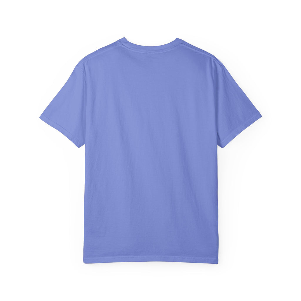 AIDA Shirt, All I Do Is Analyze Tee, Insurance Data Analytics Shirt, Insurance Analyst Apparel, AIDA Designation Gift